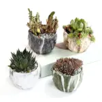 Deidra Modern Bonsai Marbling Flower Pot 4 pcs tag1