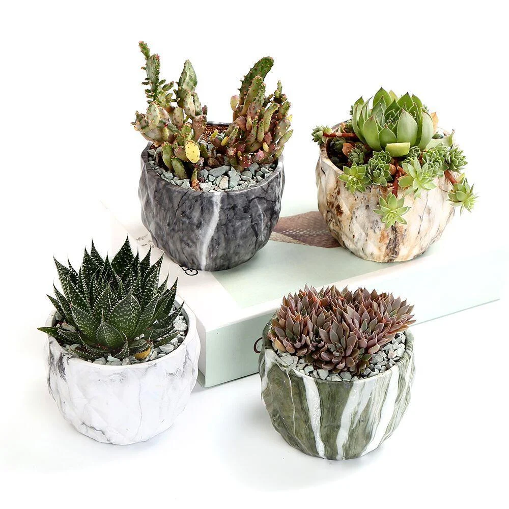 Deidra - Modern Bonsai Marbling Flower Pot (4 pcs) -  - #tag1#