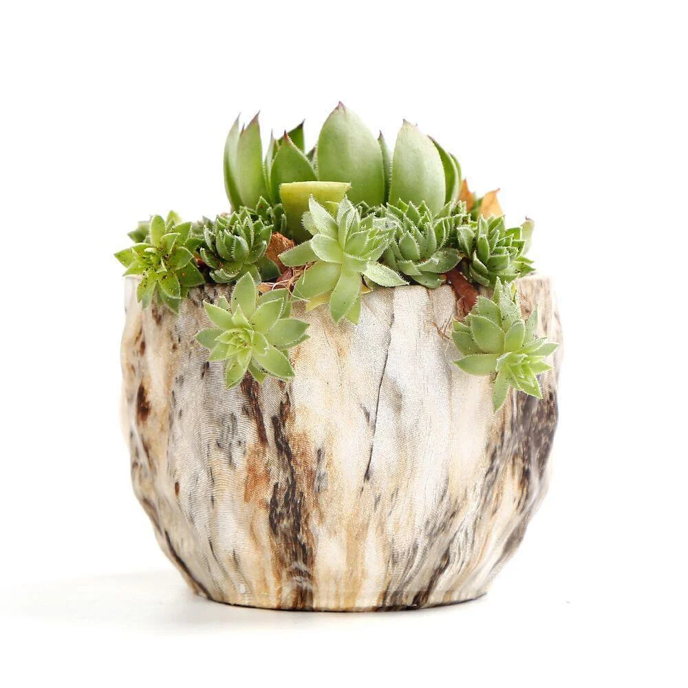 Deidra - Modern Bonsai Marbling Flower Pot (4 pcs) -  - #tag1#