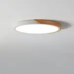 DelphiLux Modern Ceiling Lamp with Stylish Design tag1