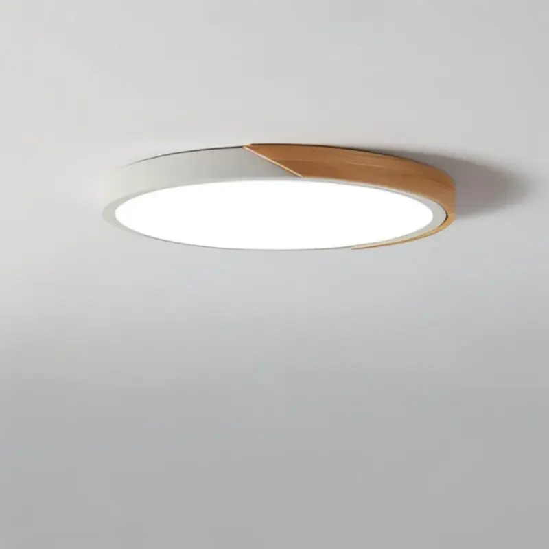 DelphiLux Modern Ceiling Lamp with Stylish Design tag1