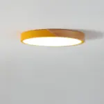 DelphiLux Modern Ceiling Lamp with Stylish Design tag1