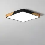 DelphiLux Modern Ceiling Lamp with Stylish Design tag1