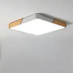 DelphiLux Modern Ceiling Lamp with Stylish Design tag1