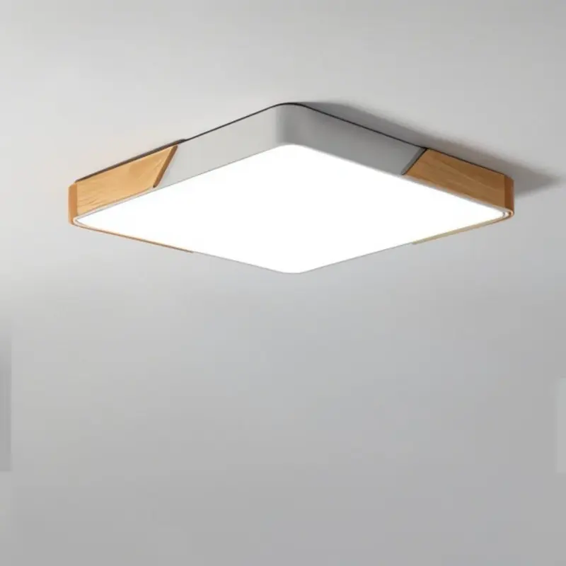 DelphiLux Modern Ceiling Lamp with Stylish Design tag1