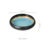 Delta Ceramic Sushi Dinner Plate tag1