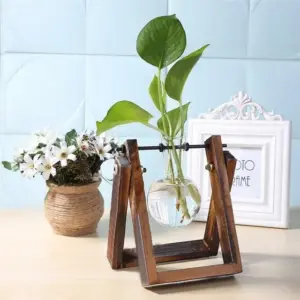 Desktop Terrarium