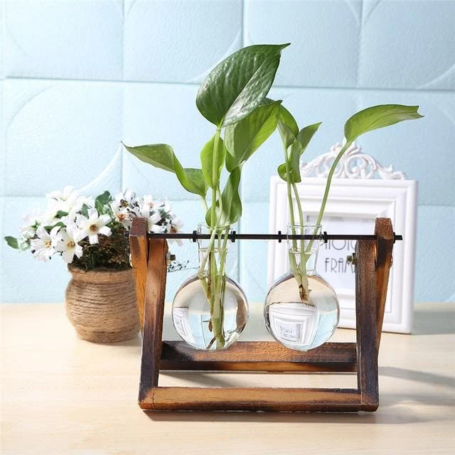 Desktop Terrarium -  - #tag1#
