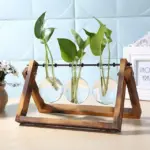 Desktop Terrarium tag1