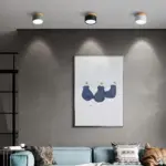 Dimmable LED Downlight