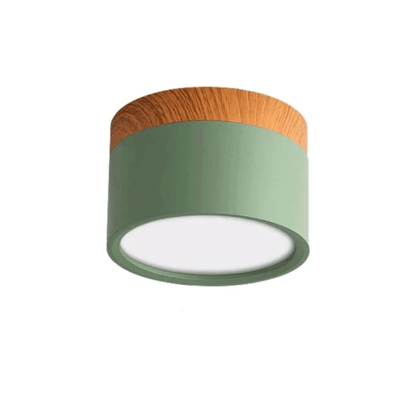 Dimmable LED Downlight -