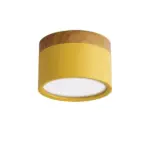 Dimmable LED Downlight