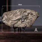 Dinosaur_Fossil_Decor_-_-_tag1_-4194781 Dinosaur Fossil Decor tag1