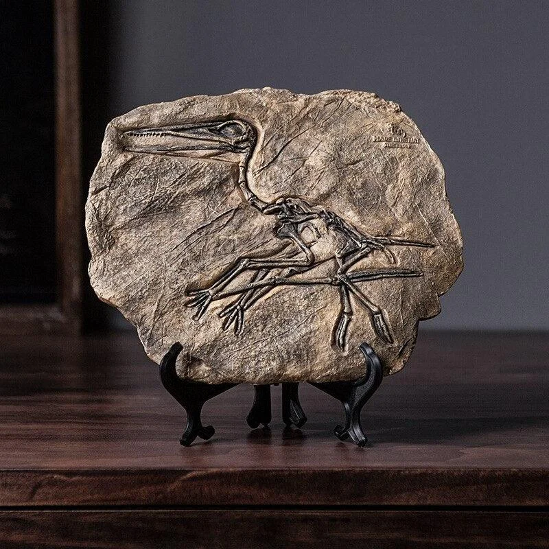 Dinosaur Fossil Decor -  - #tag1#
