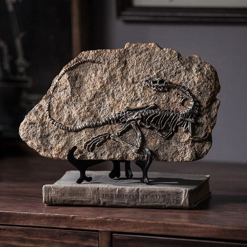 Dinosaur Fossil Decor -  - #tag1#