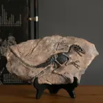 Dinosaur_Fossil_Decor_-_-_tag1_-4194794 Dinosaur Fossil Decor tag1