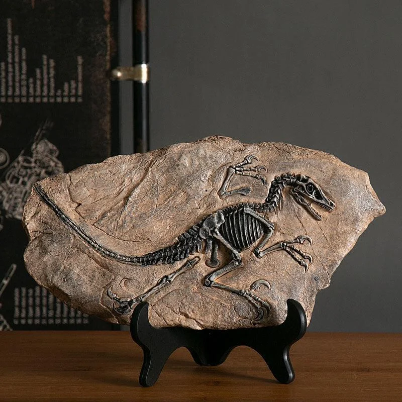 Dinosaur Fossil Decor -  - #tag1#