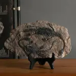 Dinosaur_Fossil_Decor_-_-_tag1_-4194802 Dinosaur Fossil Decor tag1