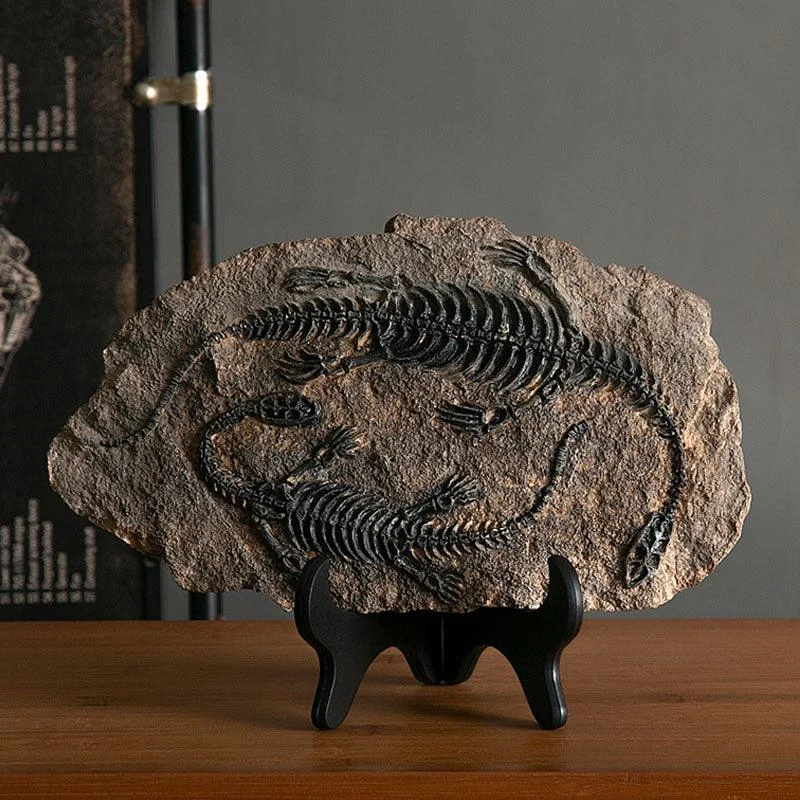 Dinosaur Fossil Decor -  - #tag1#