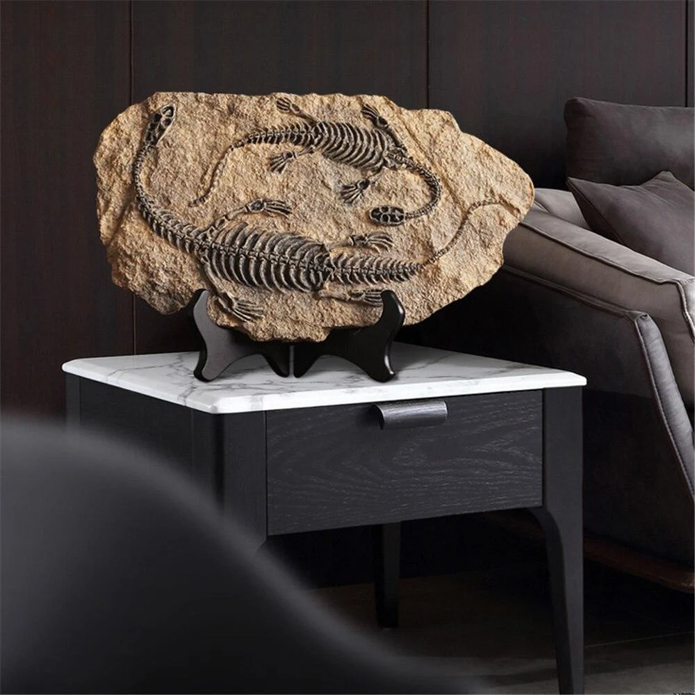 Dinosaur Fossil Decor -  - #tag1#