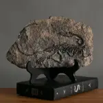 Dinosaur_Fossil_Decor_-_-_tag1_-4194811 Dinosaur Fossil Decor tag1
