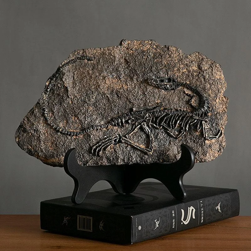 Dinosaur Fossil Decor -  - #tag1#