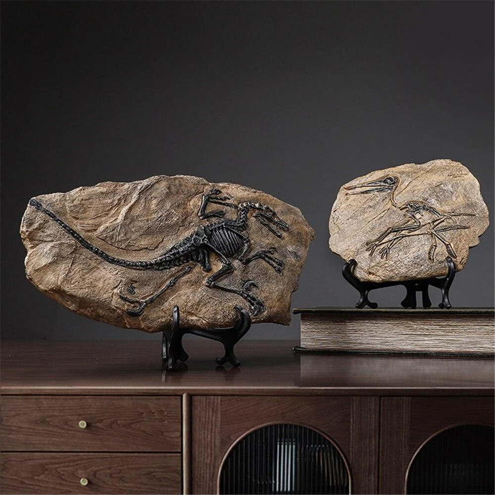 Dinosaur Fossil Decor -  - #tag1#
