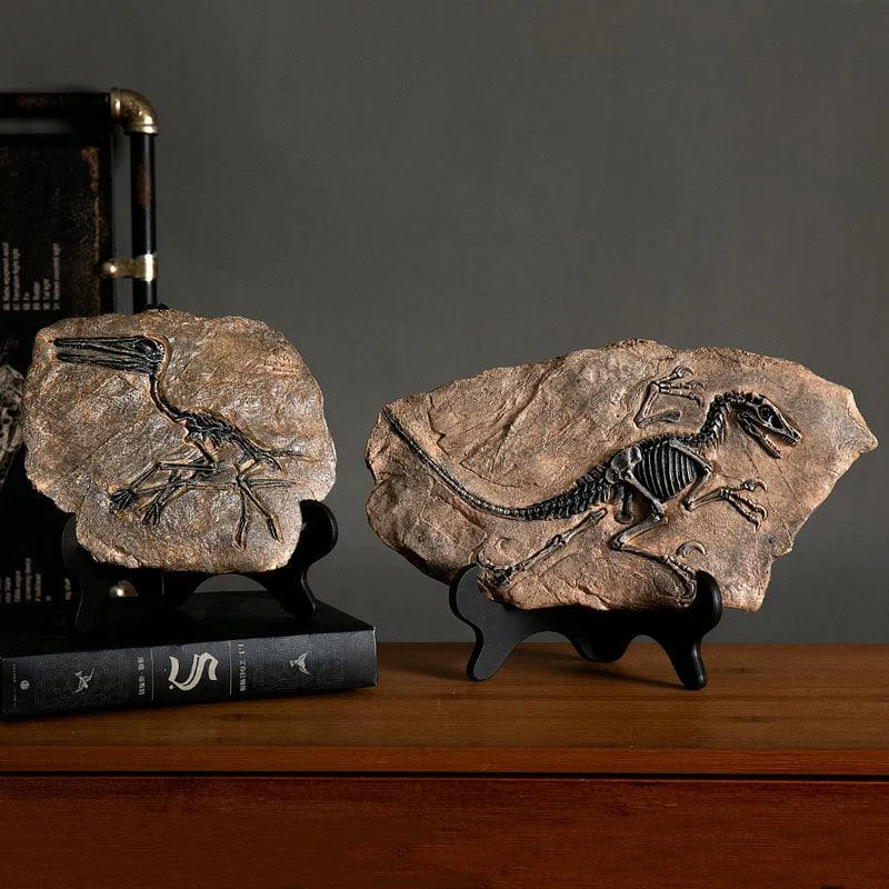 Dinosaur Fossil Decor -  - #tag1#