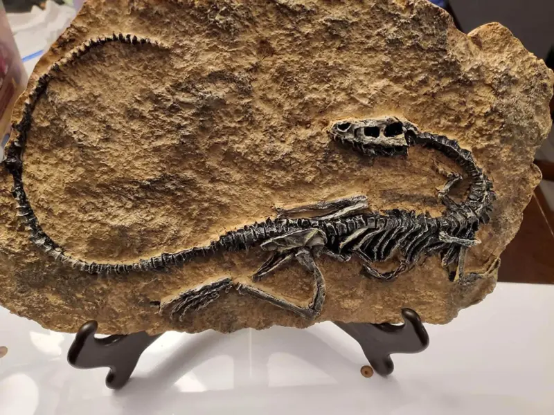 Dinosaur Fossil Decor tag1