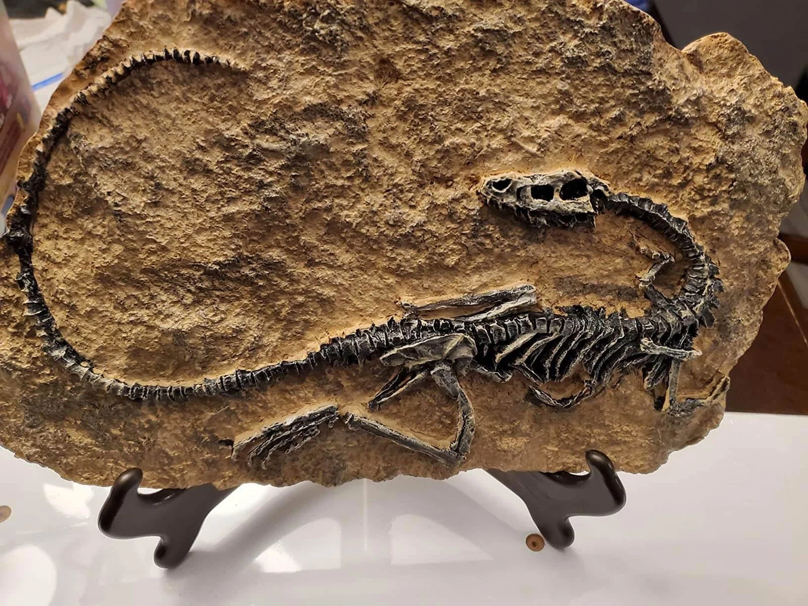 Dinosaur Fossil Decor -  - #tag1#