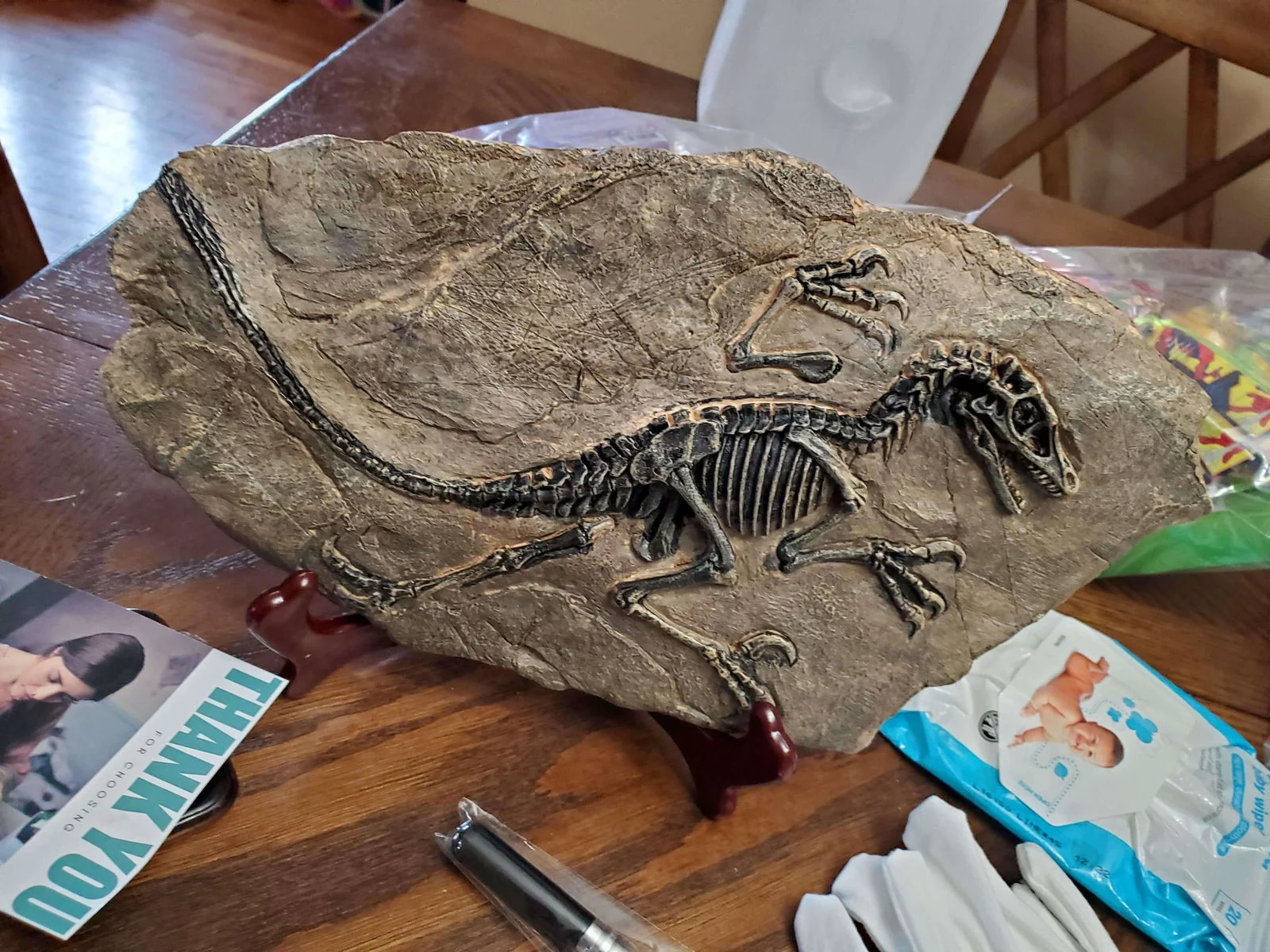 Dinosaur Fossil Decor -  - #tag1#
