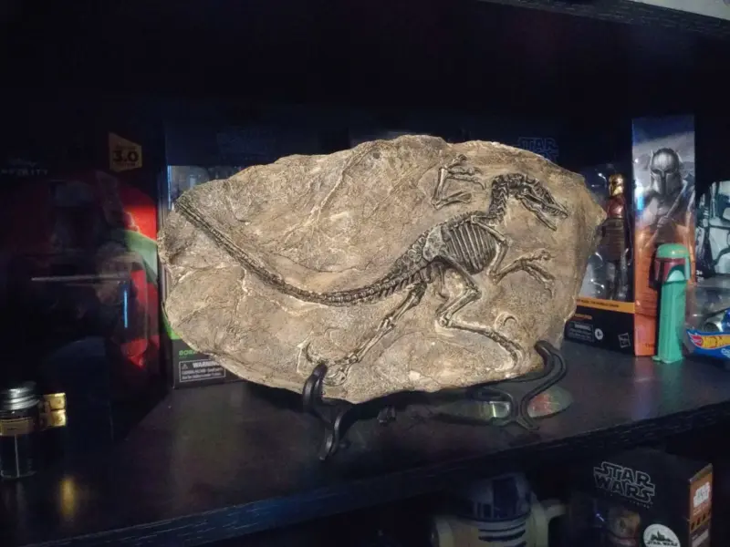 Dinosaur Fossil Decor tag1