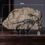 Dinosaur_Fossil_Decor_-_-_tag1_-4194844 Dinosaur Fossil Decor tag1