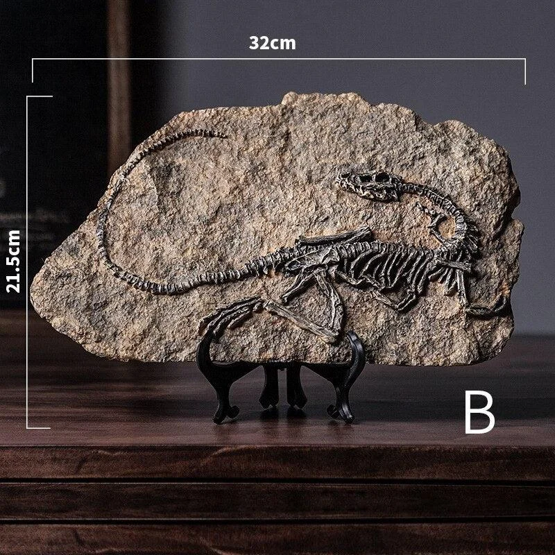 Dinosaur Fossil Decor -  - #tag1#