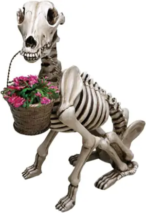 Dinosaur Skeleton