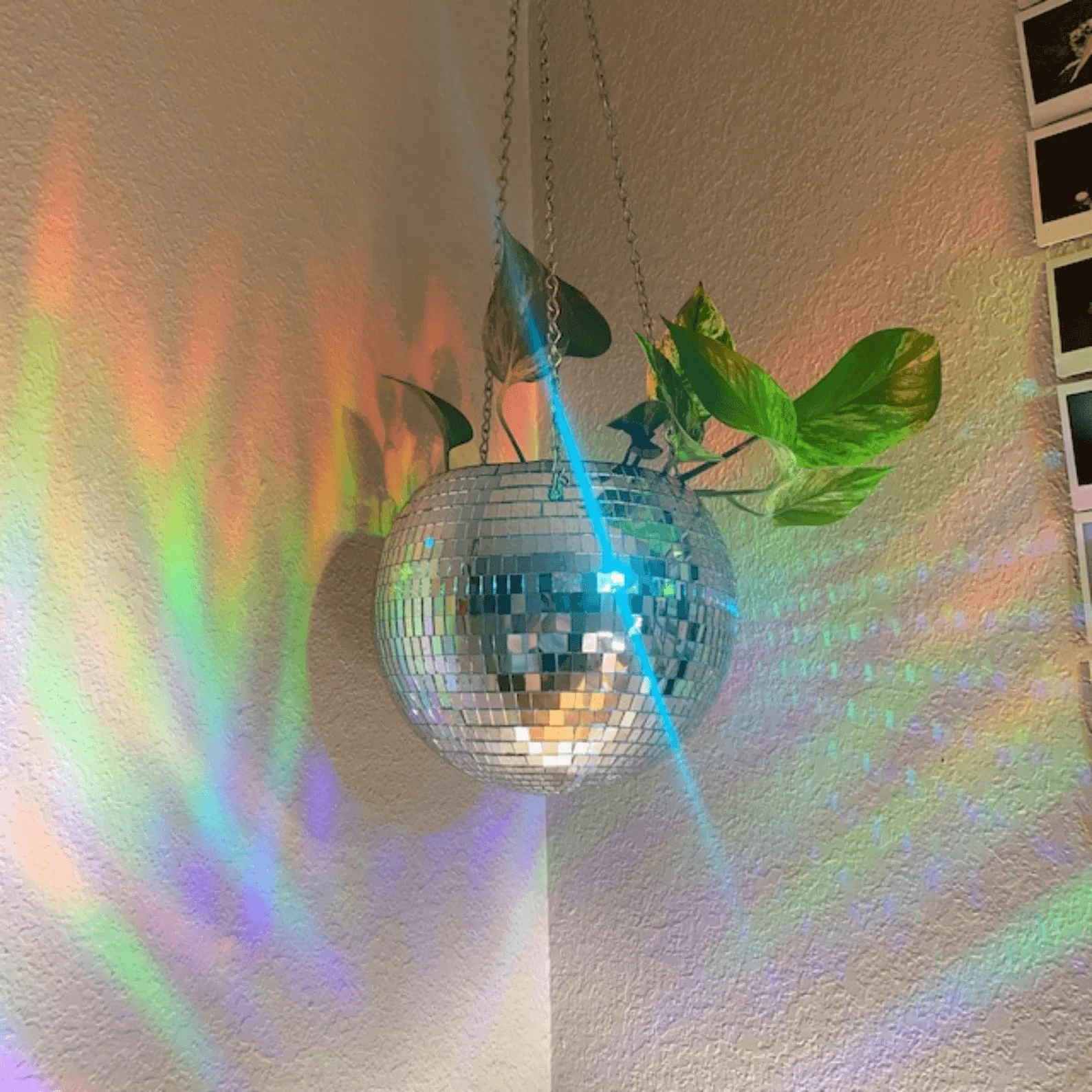 Disco Hanging Planter -