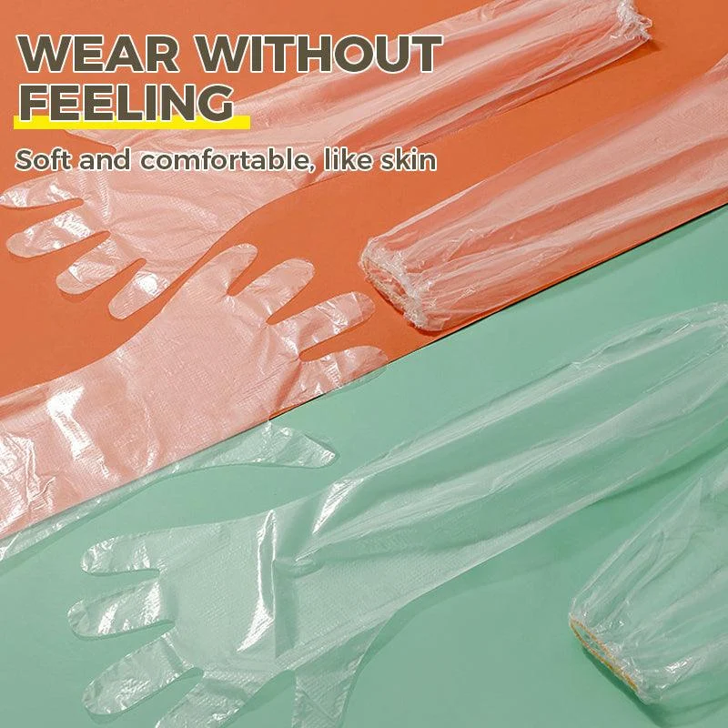 Disposable Gloves -  - #tag1#