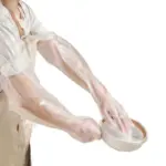 Disposable Gloves tag1