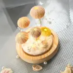 Diy sea urchin night light tag1