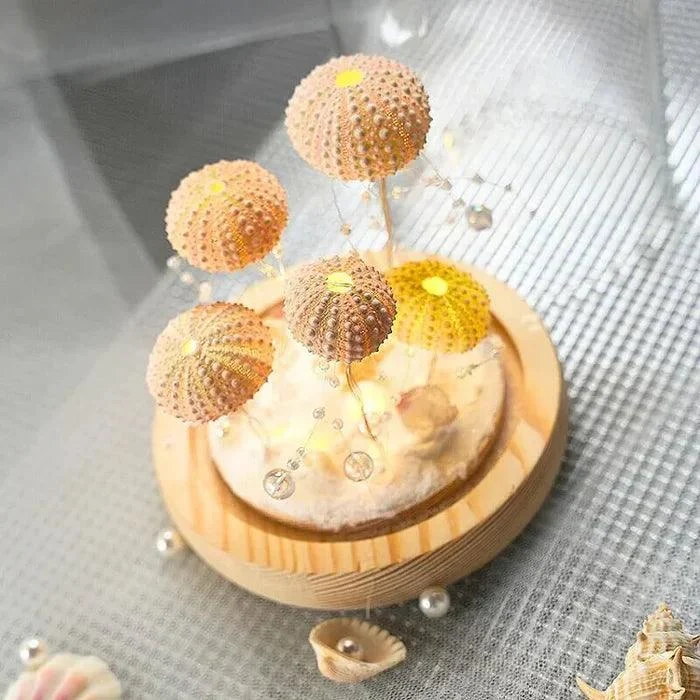 Diy - sea urchin night light -  - #tag1#