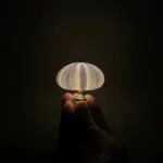 Diy sea urchin night light tag1