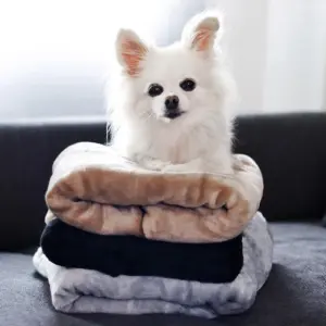 Dog Blanket - CozyBlanket - Premium - Ultimate Cuddly Comfort