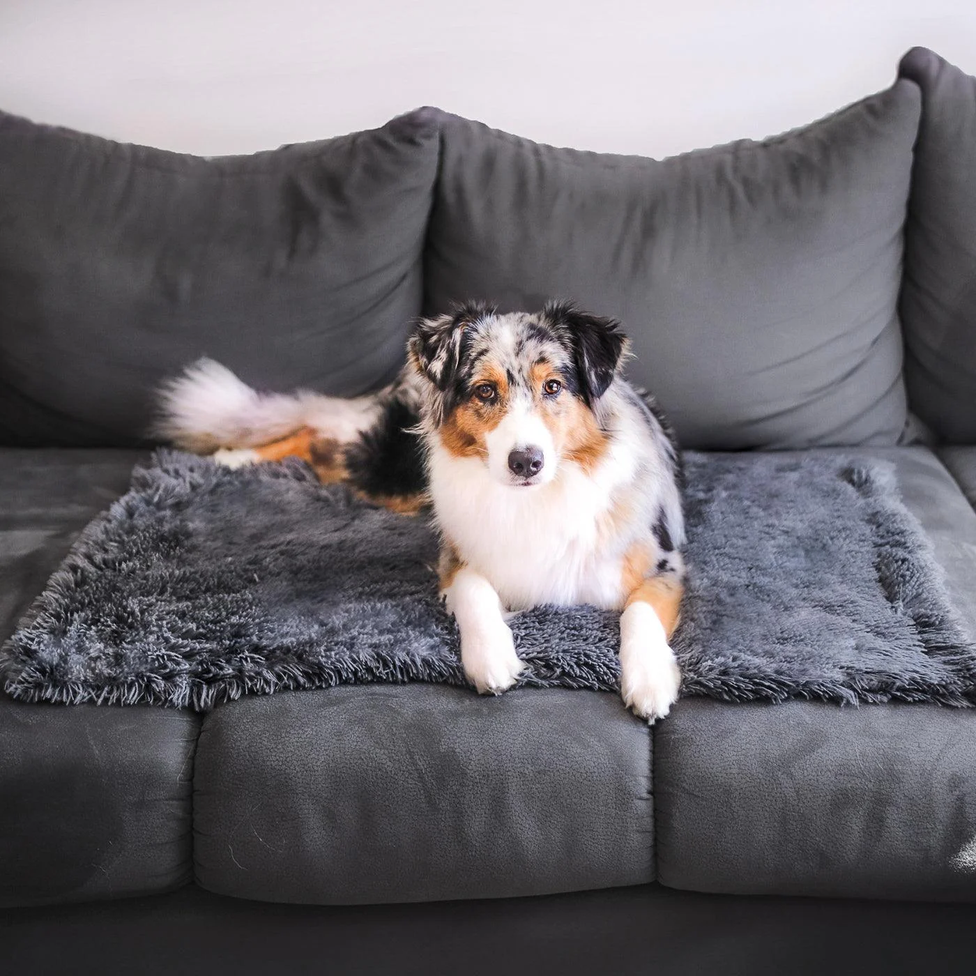 Dog Blanket - CuddleBlanket - Premium - Stress-Reducing Comfort -  - #tag1#