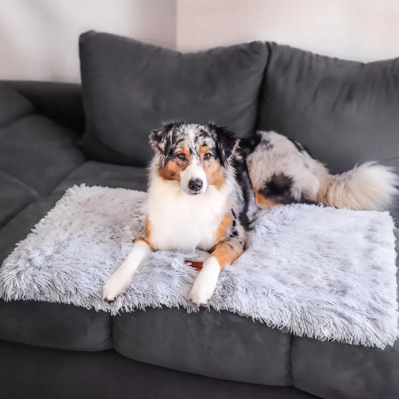 Dog Blanket CuddleBlanket Premium Stress Reducing Comfort tag1