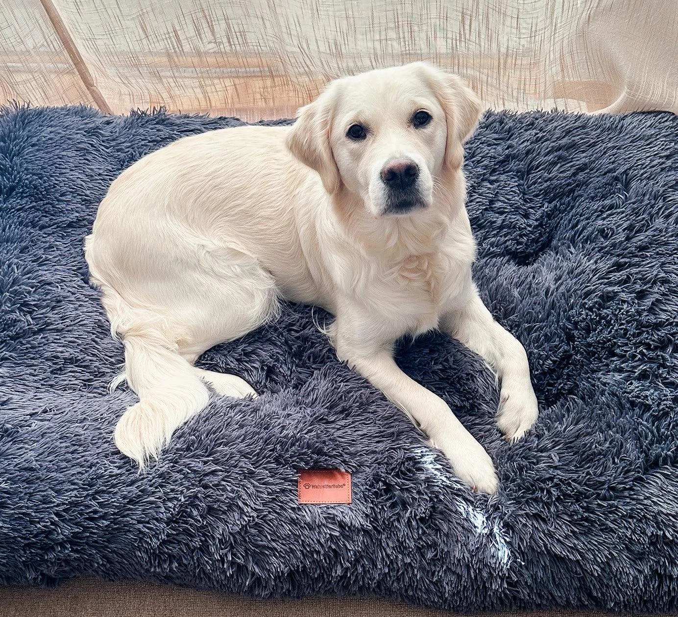 Dog Mat - CozyPaws - Winter Warm - Comfortable Bed -  - #tag1#