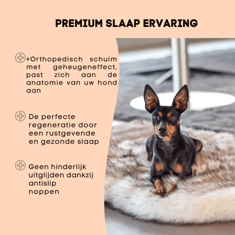 Dog bed OrthoBed Orthopedic Joint protection tag1