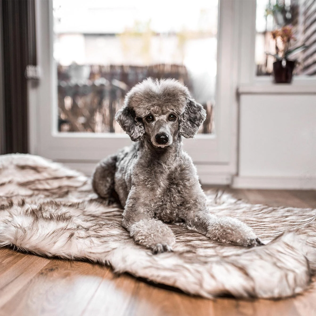 Dog bed - OrthoBed - Orthopedic - Joint protection -  - #tag1#