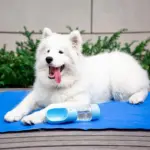 Dog mat CoolMat Cooling Overheating Lighting tag1