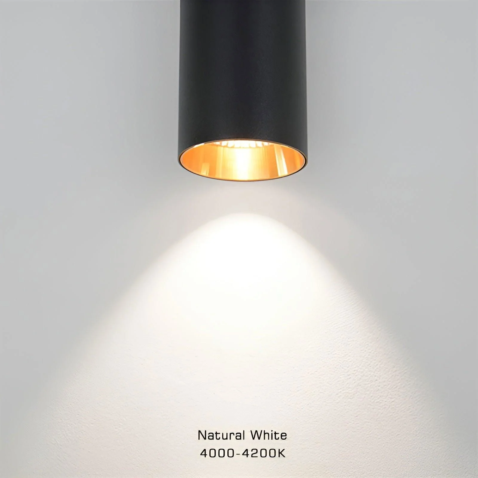 Doppelkopf Wall Light - Gold Wall Sconce - Cylinder Wall Light -  - #tag1#