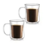 Double Wall Glass Coffee Mug